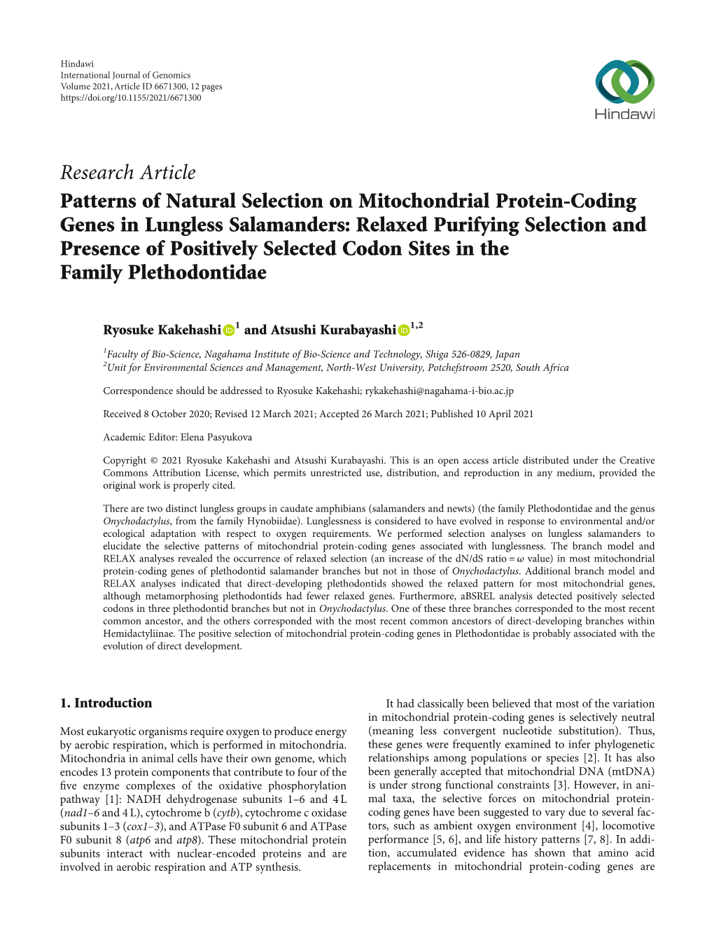 Patterns of Natural Selection on Mitochondrial Protein-Coding