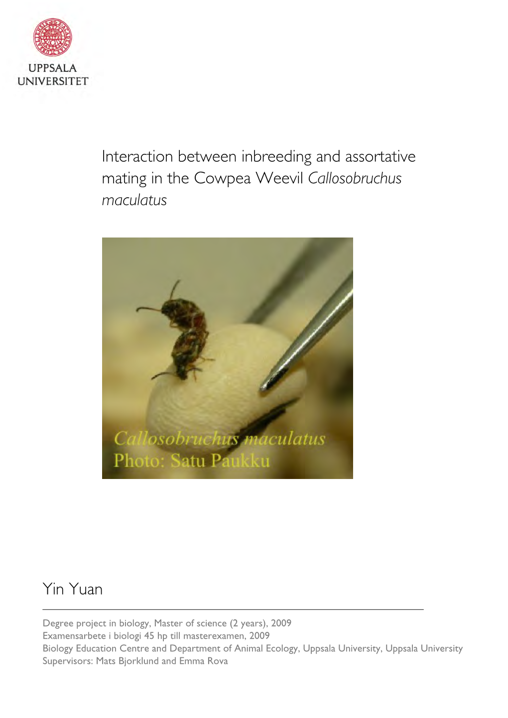 Interaction Between Inbreeding and Assortative Mating in the Cowpea Weevil Callosobruchus Maculatus