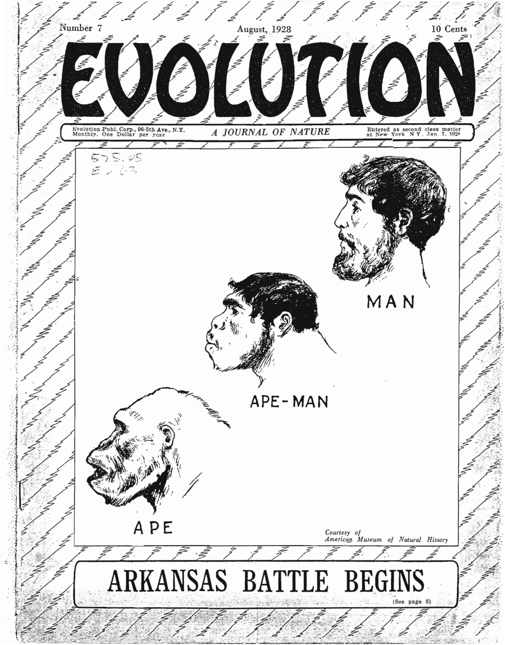 EVOLUTION AUGUST, 1928 J I I Brains-How Come? !