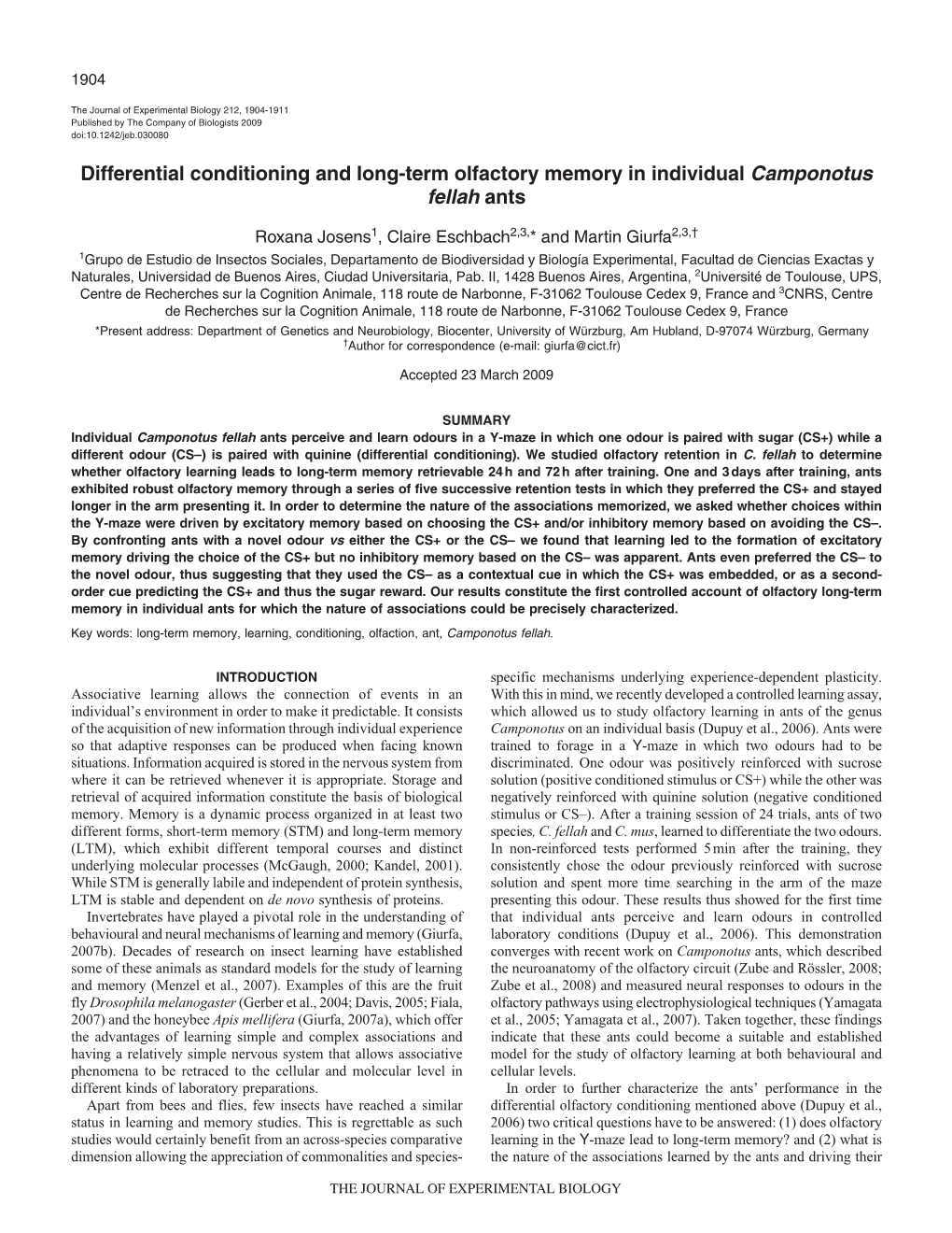 Differential Conditioning and Long-Term Olfactory Memory in Individual Camponotus Fellah Ants