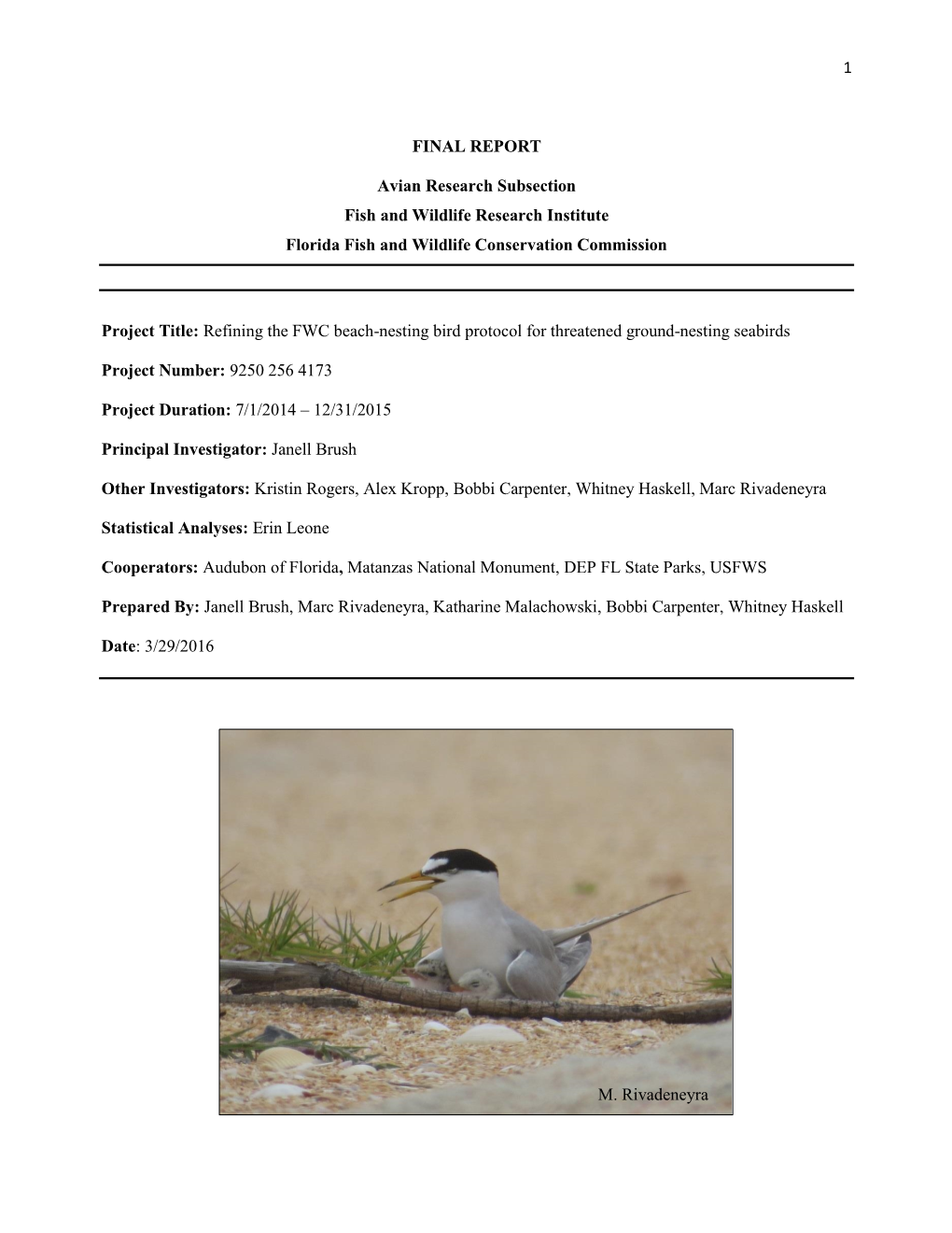 Refining the FWC Beach-Nesting Bird Protocol for Threatened Ground-Nesting Seabirds