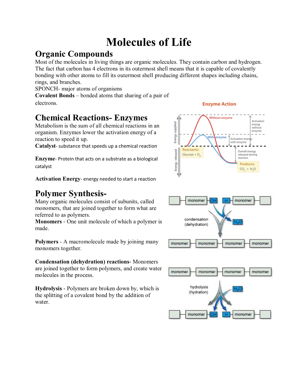 Molecules of Life Organic Compounds Most of the Molecules in Living Things Are Organic Molecules