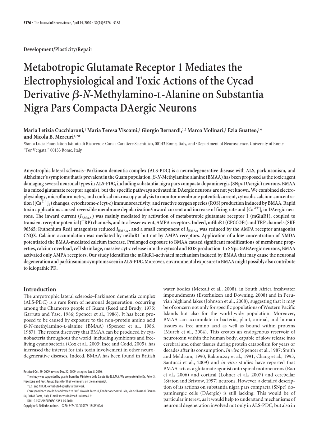 Metabotropic Glutamate Receptor 1 Mediates