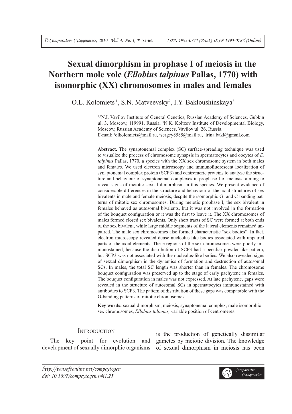 Sexual Dimorphism in Prophase I of Meiosis in the Northern Mole Vole (Ellobius Talpinus Pallas, 1770) with Isomorphic (XX) Chromosomes in Males and Females