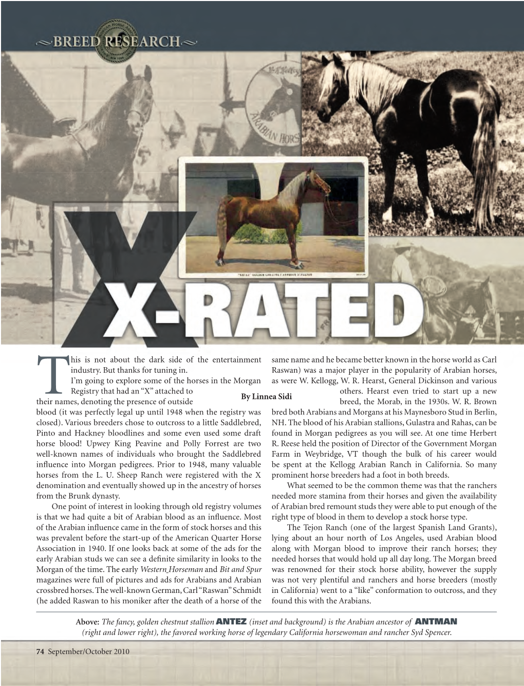 206Researchxrated2010.Pdf