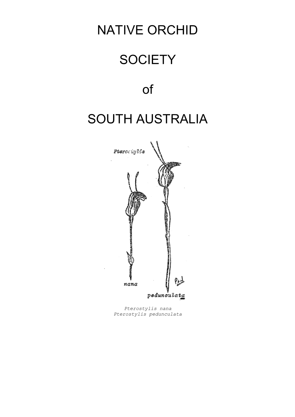 Native Orchid Society of South Australia