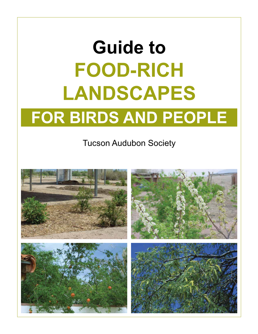 Food-Rich Landscapes for Birds and People