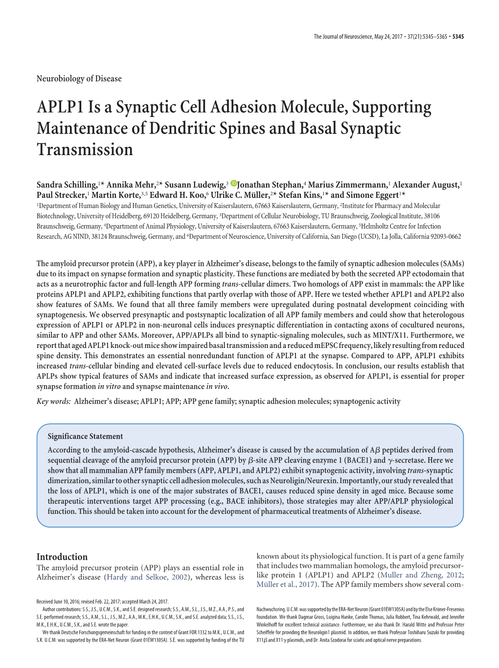 APLP1 Is a Synaptic Cell Adhesion Molecule, Supporting Maintenance of Dendritic Spines and Basal Synaptic Transmission