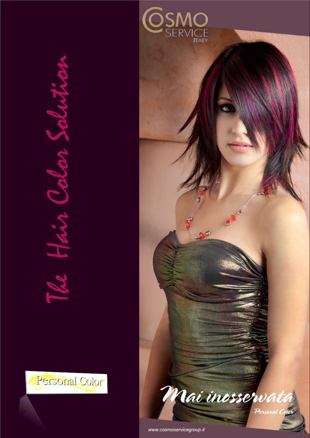 The Hair Color Solution Color Hair The