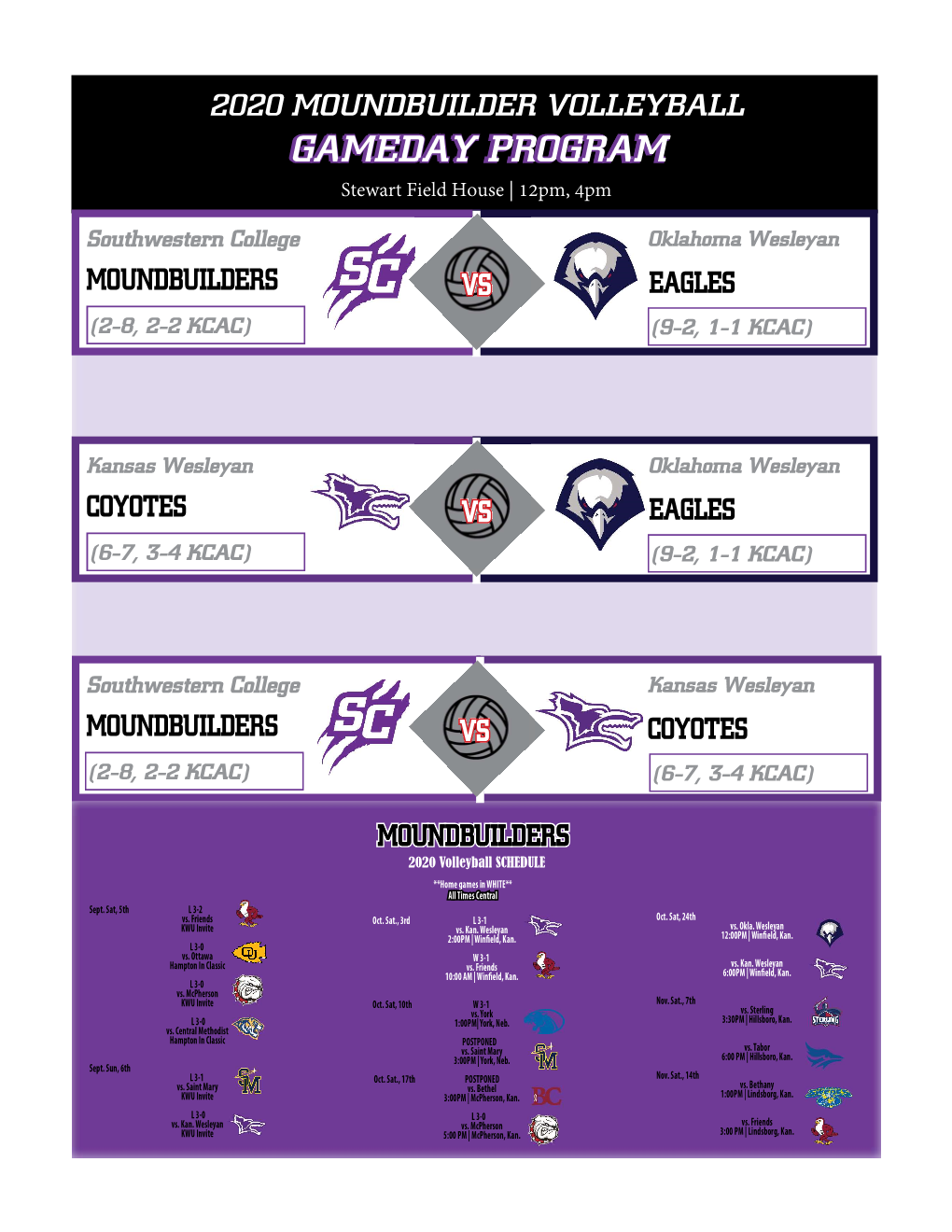 Volleyball Game Notes