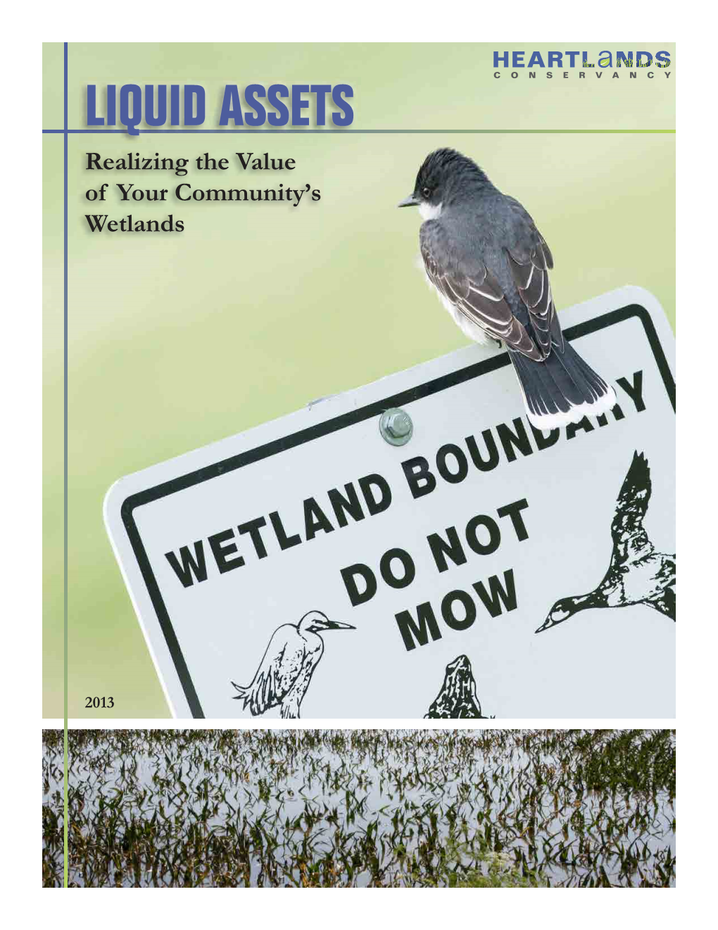 LIQUID ASSETS Investing in the Nature of Sou Thwestern Illinois Realizing the Value of Your Community’S Wetlands