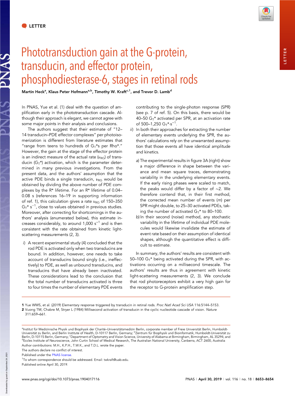 Phototransduction Gain at the G-Protein, Transducin, and Effector Protein, Phosphodiesterase-6, Stages in Retinal Rods