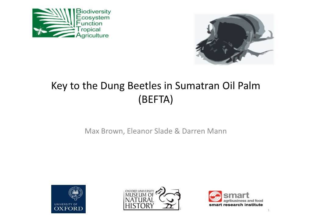Key to the Dung Beetles in Sumatran Oil Palm (BEFTA)