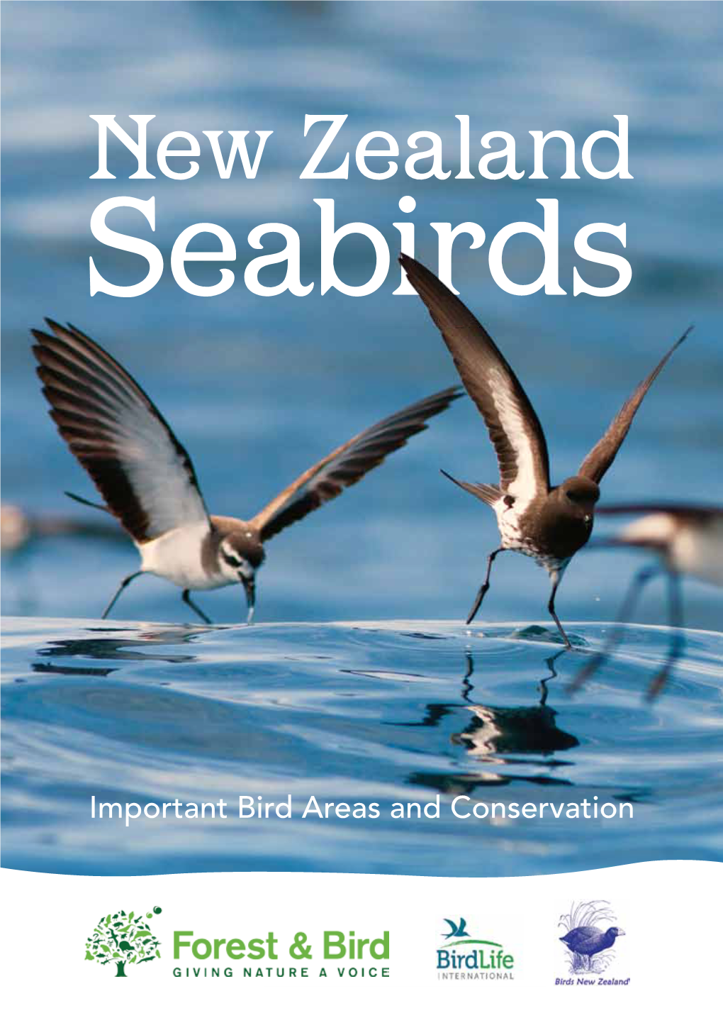 New Zealand Seabirds