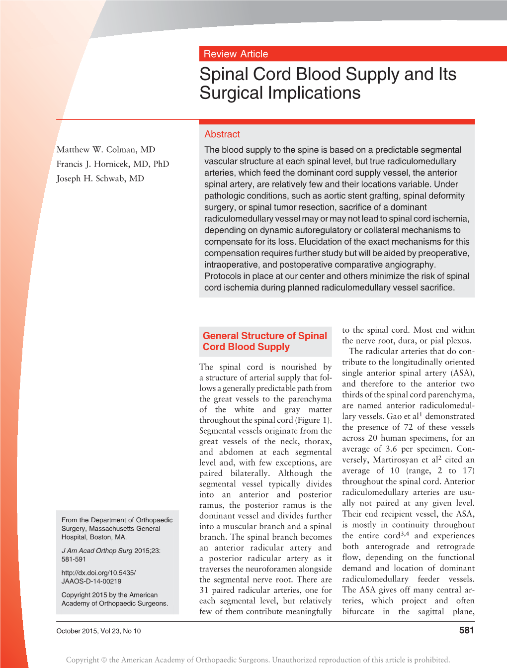 Spinal Cord Blood Supply and Its Surgical Implications