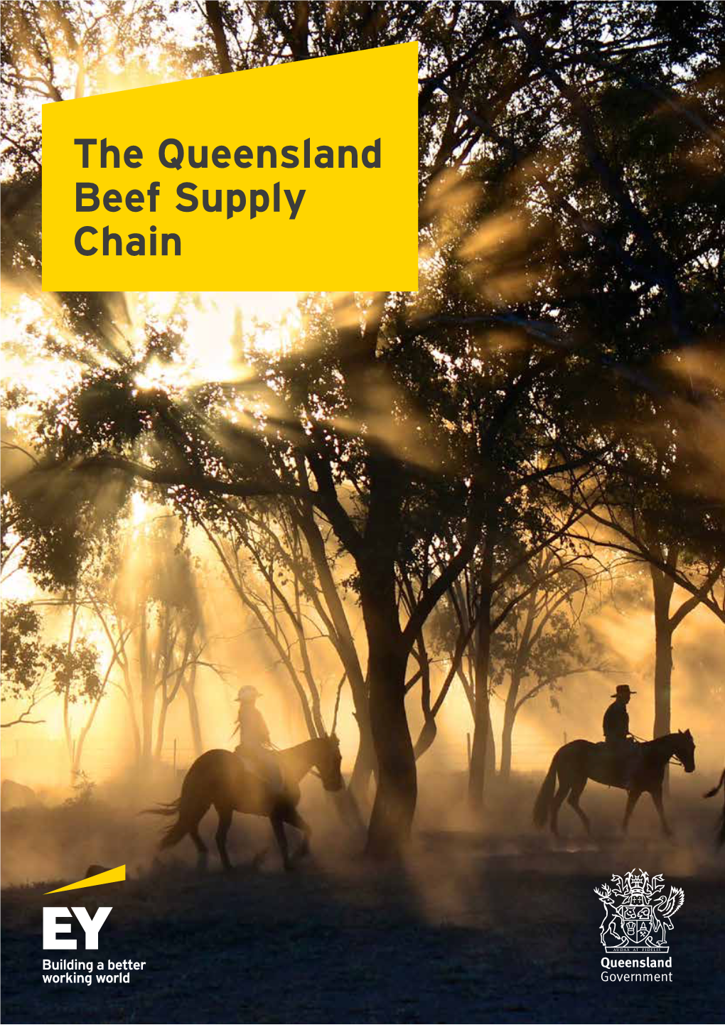 The Queensland Beef Supply Chain