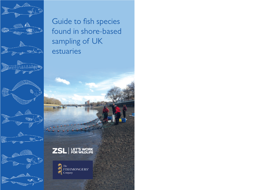Guide to Fish Species Found in Shore-Based Sampling of UK Estuaries