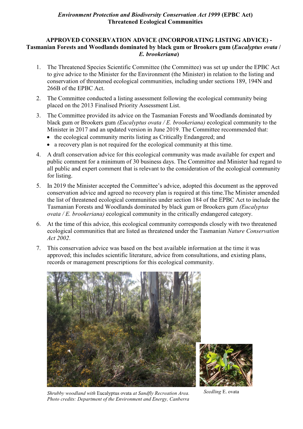 Conservation Advice Tas Ovata Brookeriana Forests and Woodlands