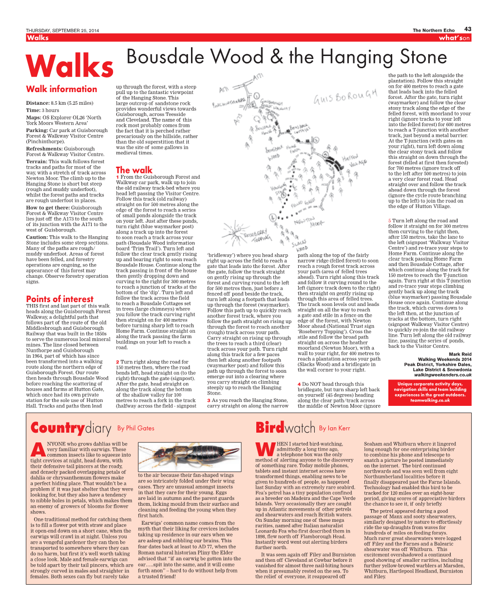 Bousdale Wood & the Hanging Stone