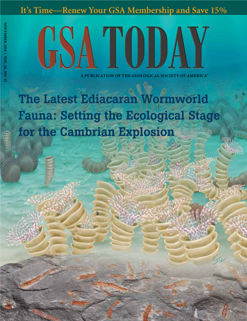 The Latest Ediacaran Wormworld Fauna: Setting the Ecological Stage for the Cambrian Explosion