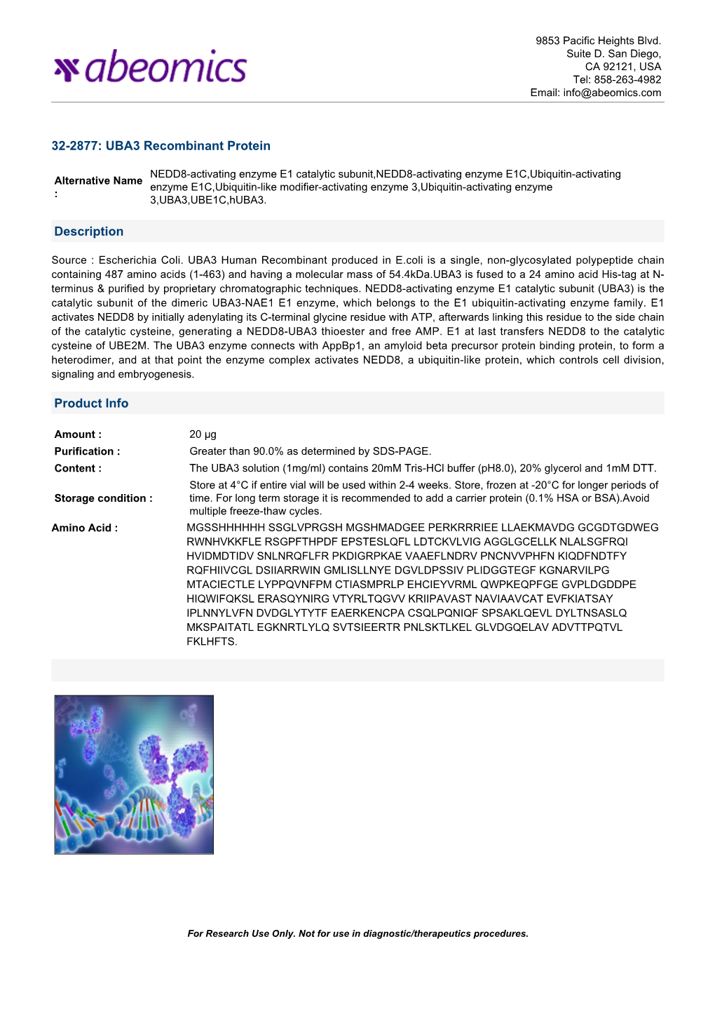32-2877: UBA3 Recombinant Protein Description