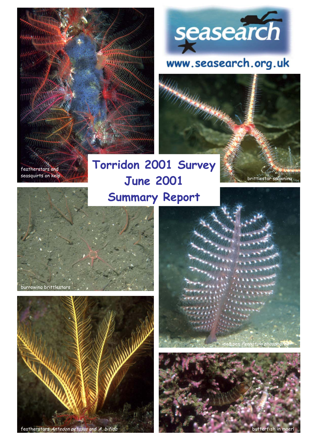 Torridon 2001 Survey June 2001 Summary Report