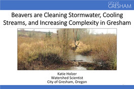 Beavers Are Cleaning Stormwater, Cooling Streams, and Increasing Complexity in Gresham