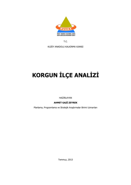 Korgun Ilçe Analizi