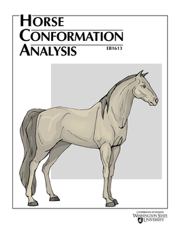 Horse Conformation Analysis Eb1613