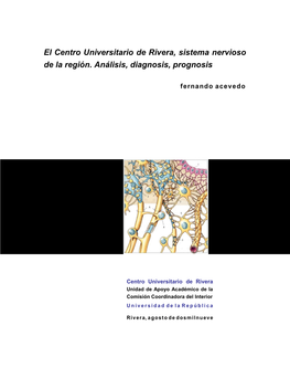 El Centro Universitario De Rivera, Sistema Nervioso De La Región