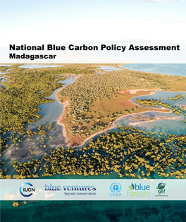 National Blue Carbon Policy Assessment Madagascar