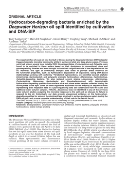Hydrocarbon-Degrading Bacteria Enriched by the Deepwater Horizon Oil Spill Identified by Cultivation and DNA-SIP