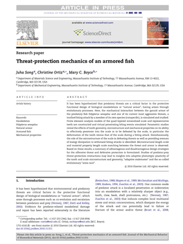 Threat-Protection Mechanics of an Armored Fish