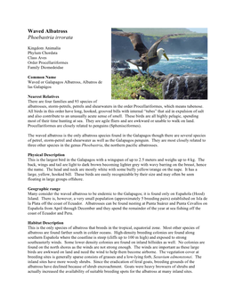 Waved Albatross Phoebastria Irrorata