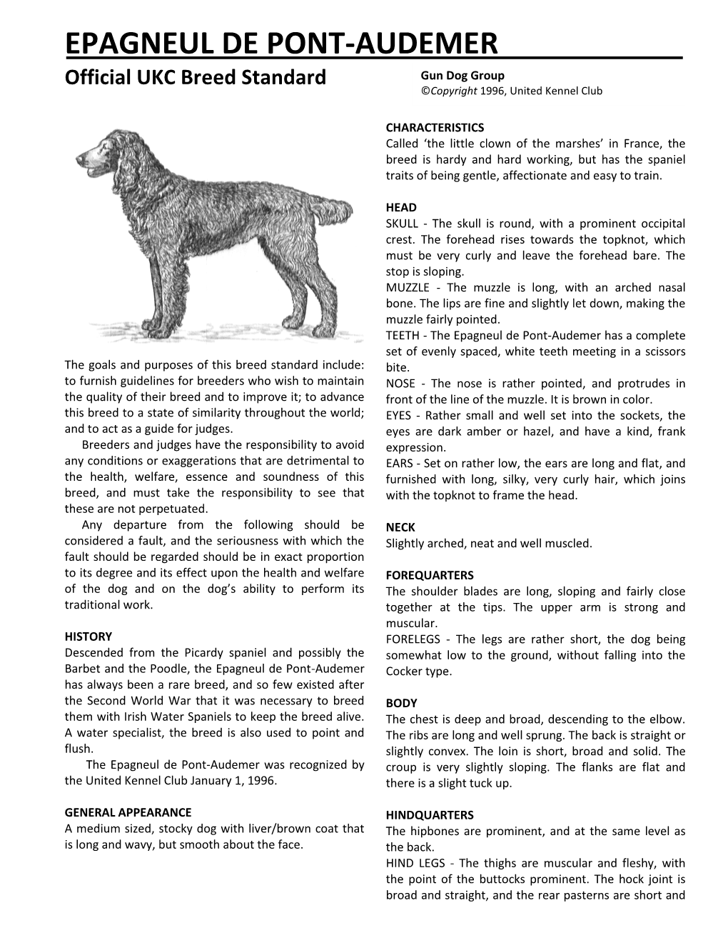 EPAGNEUL DE PONT-AUDEMER Official UKC Breed Standard Gun Dog Group ©Copyright 1996, United Kennel Club