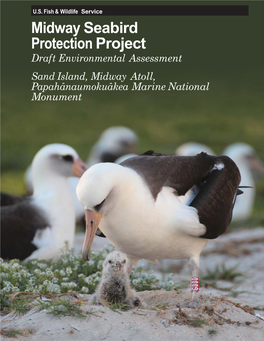 Midway Seabird Protection Project Draft Environmental Assessment