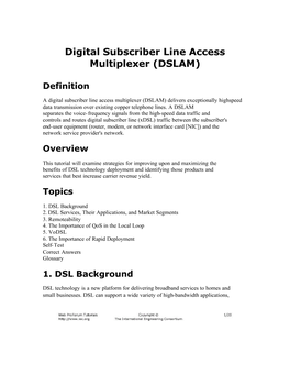 Digital Subscriber Line Access Multiplexer (DSLAM)