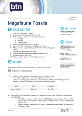 Megafauna Fossils