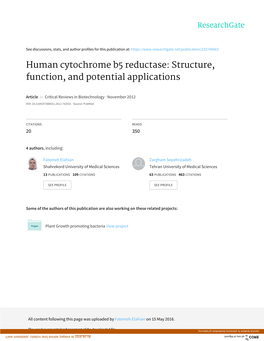 Human Cytochrome B5 Reductase: Structure, Function, and Potential Applications