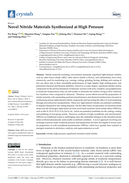 Novel Nitride Materials Synthesized at High Pressure