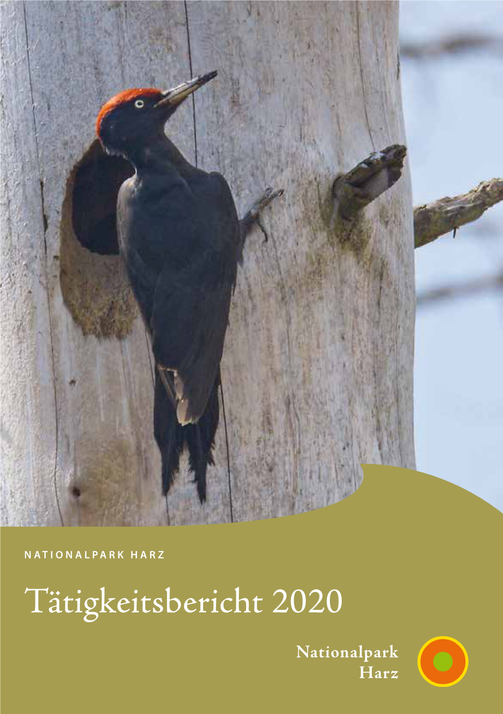 Tätigkeitsbericht 2020