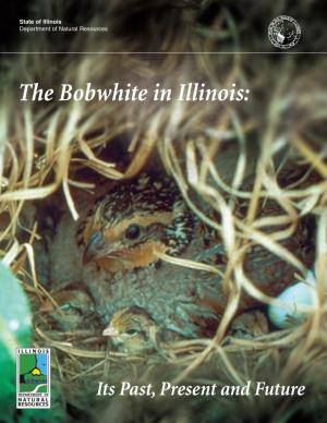 The Bobwhite in Illinois