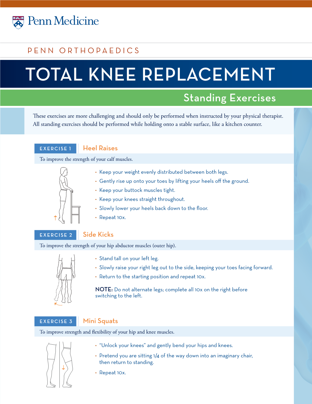 TOTAL KNEE REPLACEMENT Standing Exercises DocsLib