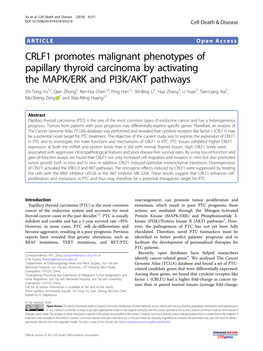 CRLF1 Promotes Malignant Phenotypes of Papillary Thyroid