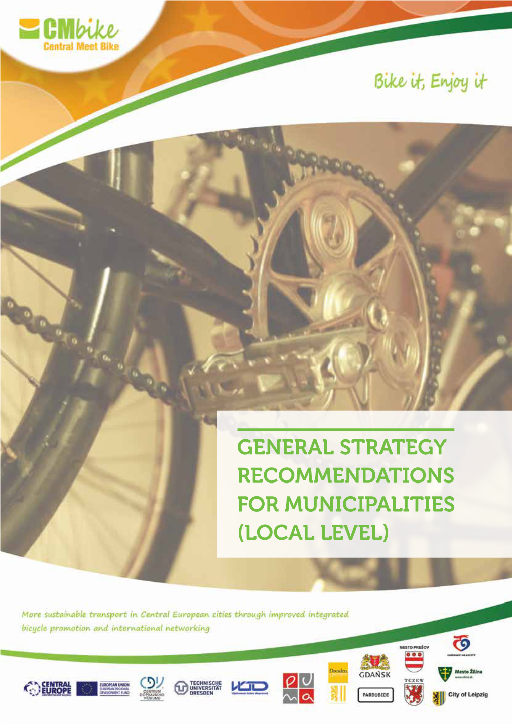 General Strategy Recommendations for Municipalities (Local Level) Table of Content