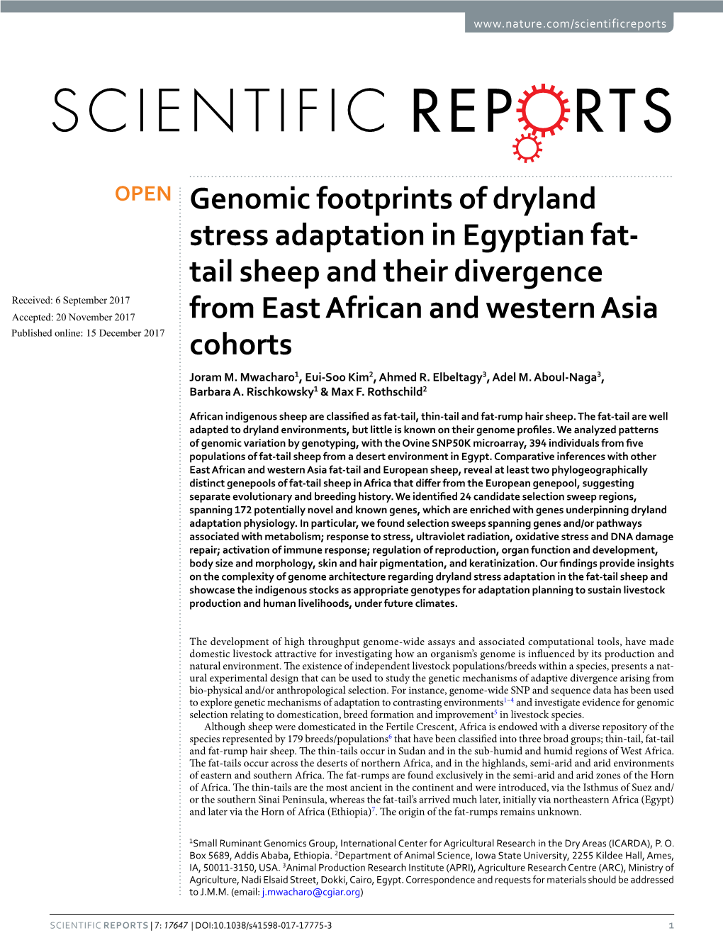 Genomic Footprints of Dryland Stress Adaptation in Egyptian Fat-Tail Sheep and Their Divergence from East African and Western As