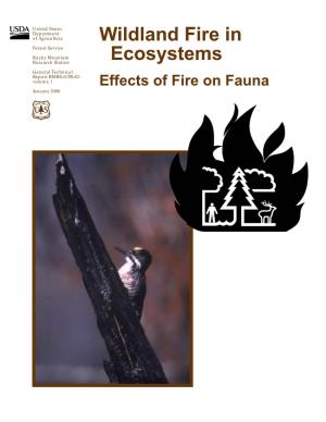 Wildland Fire in Ecosystems: Effects of Fire on Fauna