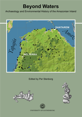 Beyond Waters Archaeology and Environmental History of the Amazonian Inland