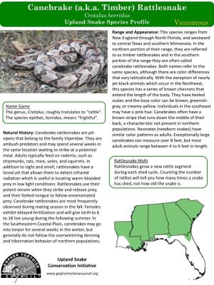 Canebrake (A.K.A. Timber) Rattlesnake