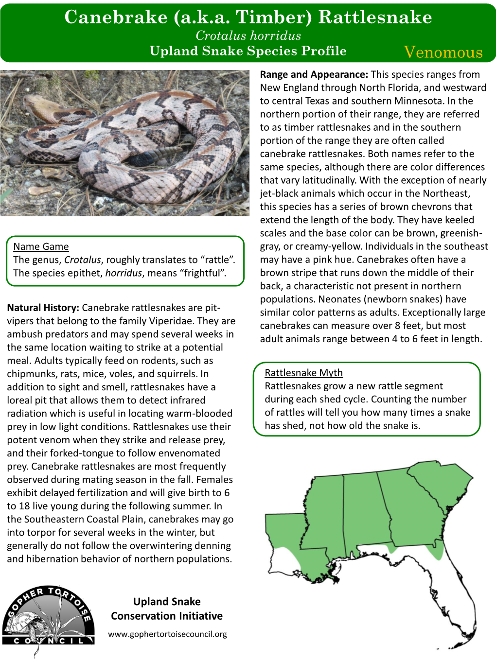 Canebrake (A.K.A. Timber) Rattlesnake - DocsLib